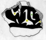 L_W23Pd3001 A16.0005 ZK729 eDsJgG1 si.jpg L_W23Pd3001 A16.0005 ZK729 eDsJgG1 si